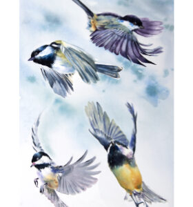 In Flight 3 -  Nuthatch
