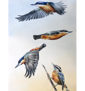 In Flight 4 - a Bird