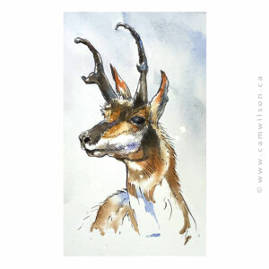 Wildlife Ink - Antelope