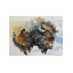 Wildlife Ink - Bison