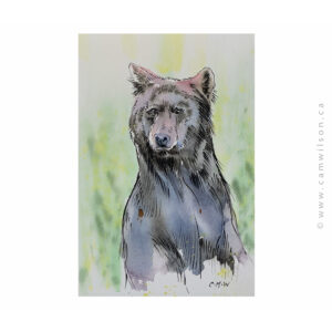 Wildlife Ink - Black Bear