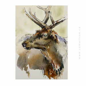 Wildlife Ink - Elk