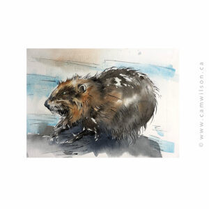 Wildlife Ink - Beaver Art Print