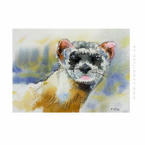 Wildlife Ink - Ferret Art Print