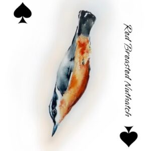 In Flight - Archival Prints
