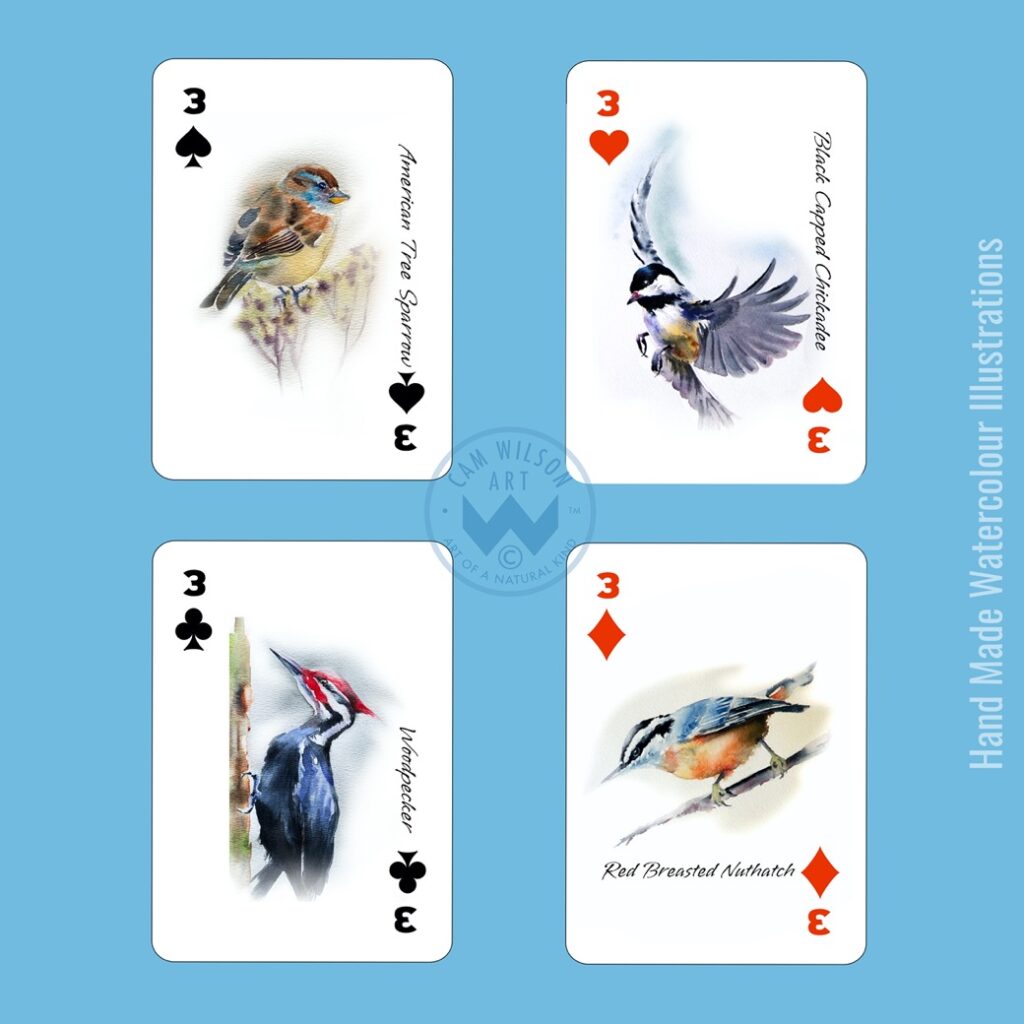 woodpecker