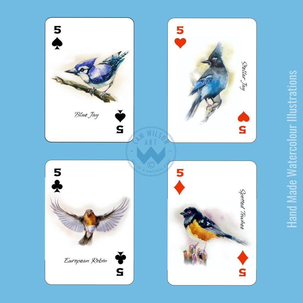bluejay