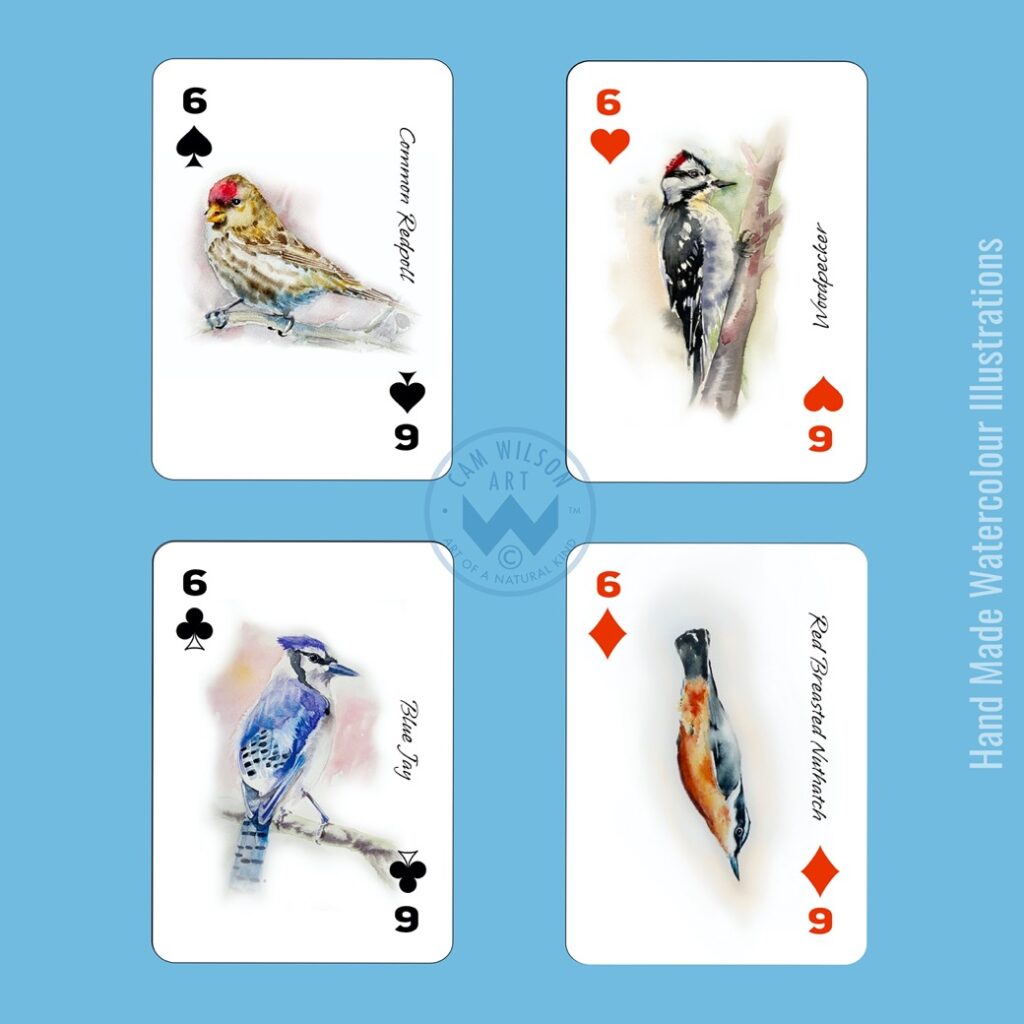 redpoll