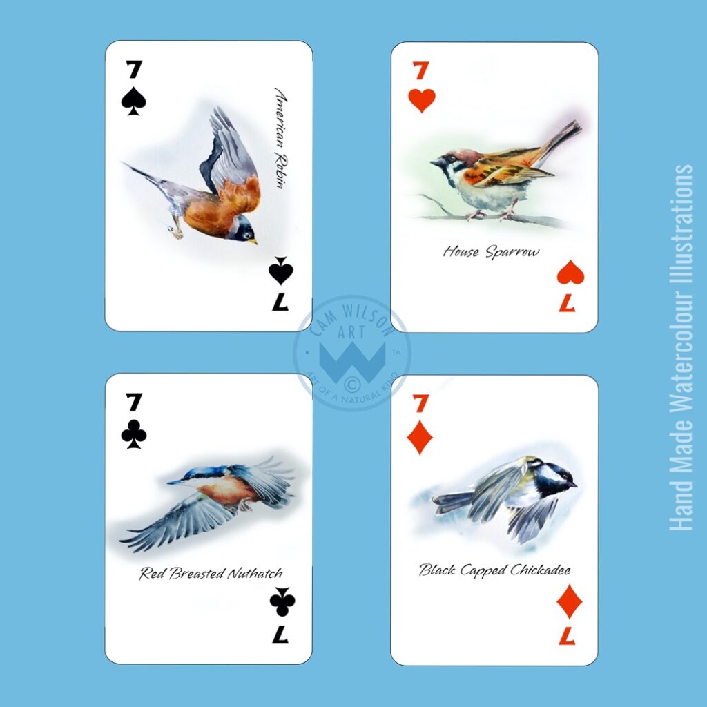 sparrow