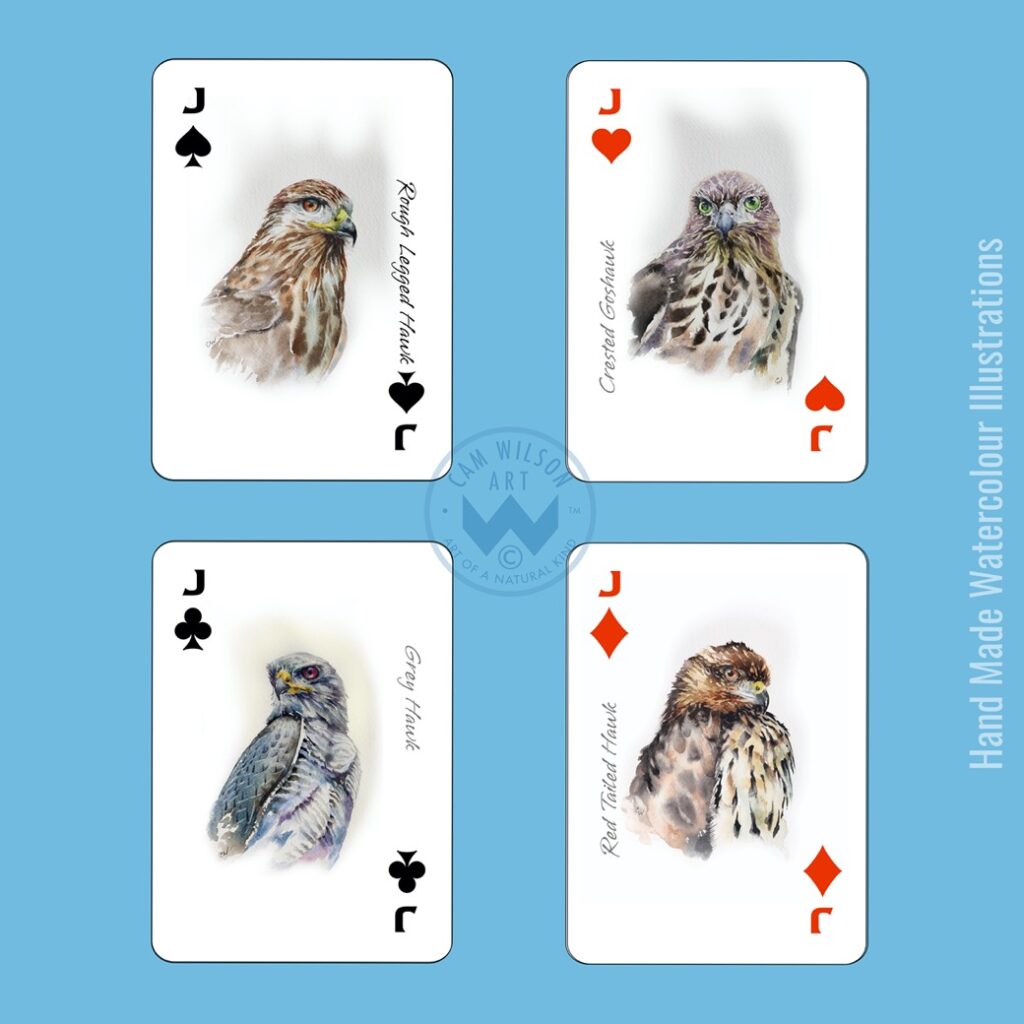 jacks - hawks