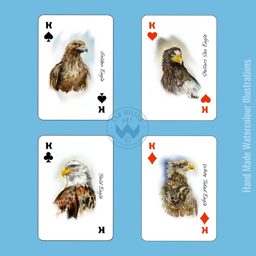 kings -eagles