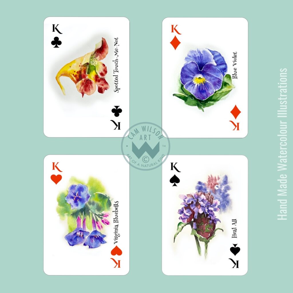 blue violet